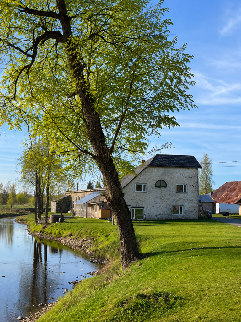 pereettevõte